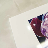 Shrink Wrapped Prints